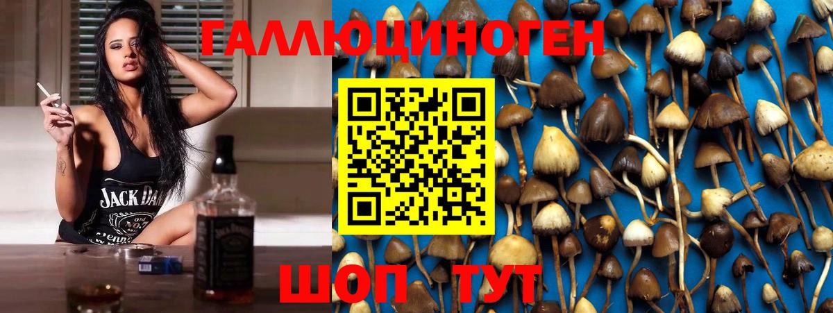 Галлюциногенные грибы мухоморы Чита