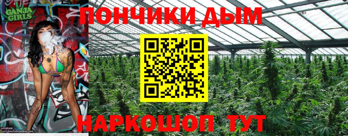Шишки марихуана VHQ Чита